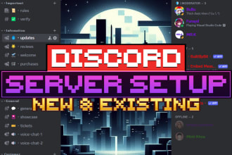 setup a professional discord server