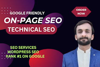 optimize on page SEO and website technical issue on wordpres