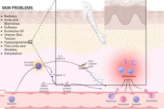 design medical, scientific illustration, figures, and diagrams