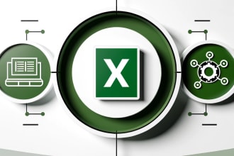 create a professional excel spreadsheet or automation tool