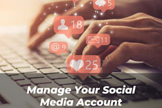 be your social media manager