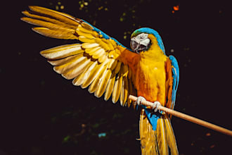 create a custom message or greeting as a parrot