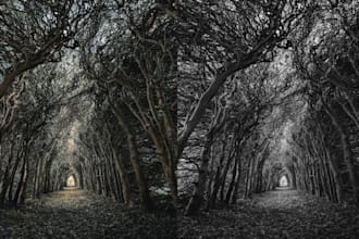 colorize black and white photo
