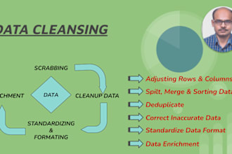 data cleansing, analysis, visualization