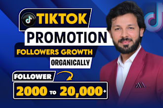 manage tiktok marketing and promotion for organic follower growth