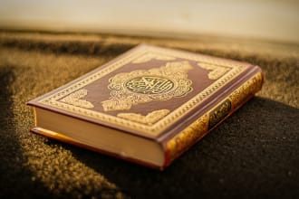 teach arabic quran  and a professional reciter of the quran