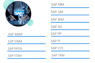 provide sap s4hana and ecc support