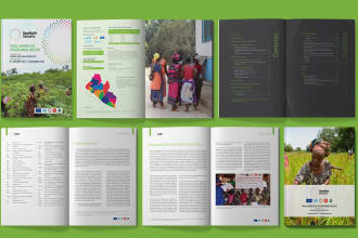 design professional annual report and quarterly report
