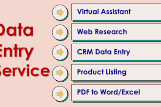 do data entry service