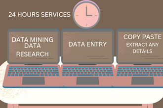 do customize data entry web research and data mining