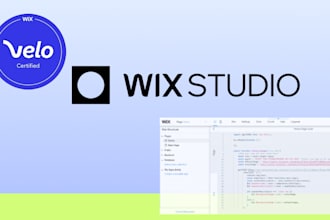 build an interactive and responsive website using wix studio