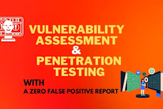 do professional penetration testing on your website