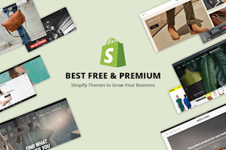 deliver and install best shopify premium themes