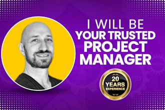 execute your project as a fiverr pro project manager