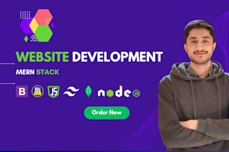 built your reactjs, nextjs, nodejs and mern projects, will fix errors