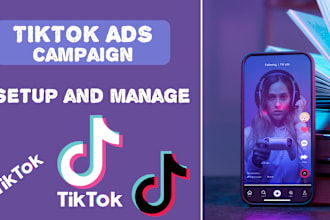 run tik tok ads, create dropshipping tiktok marketing advertising campaign