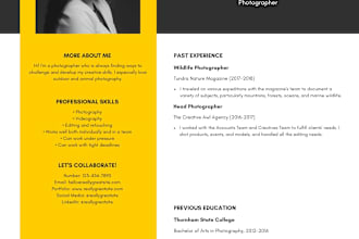 write your resume, cover letter and optimize your linkedin profile