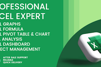 create excel spreadsheet , formula , charts and dashboard