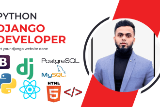 expert python django developer for custom web apps