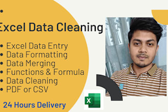 do excel data clean, merge, split and organize