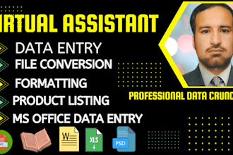 do data entry on sheet and docs