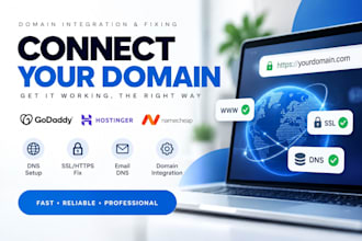 connect your domain, transfer and setup dns, SSL and domain integration issues