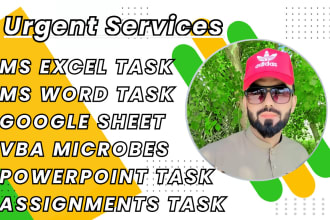 do urgent ms excel formulas, excel assessment, ms word and assignment projects
