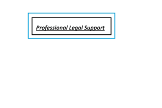 be an expert contract draftsman and reviewer