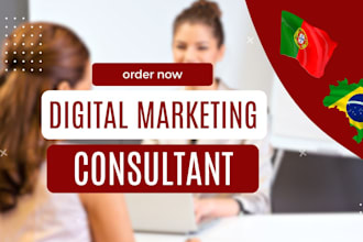 provide a digital marketing strategy consultation for growth