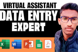 be your virtual worker, data operator, data collector,   data entry, data scrap