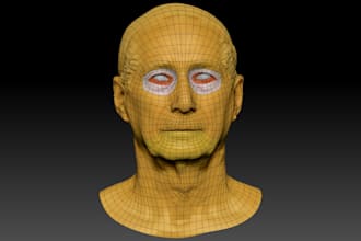 do any kind of retopology and optimization