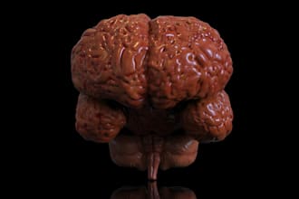 do any kind of zbrush modeling
