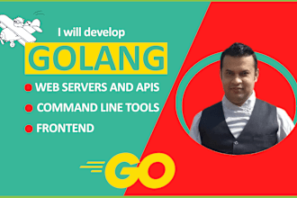develop high performance golang rest API and web application for you