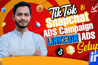 create tiktok or snapchat video ads campaign and linkedin ads setup