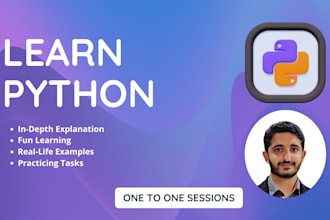 be python programming tutor, teach python coding