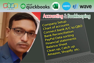 do accounting and bookkeeping using qbo xero wave and zohobooks with excel
