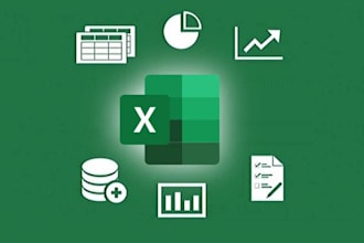 do professional tally erp 9, and excel data entry services