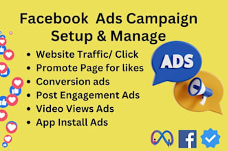meta ads campaign, ads setup and manage