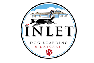 create a unique dog care logo for your business or brand