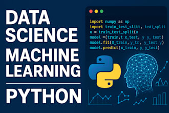 python data science, machine learning projects delivery in 24h