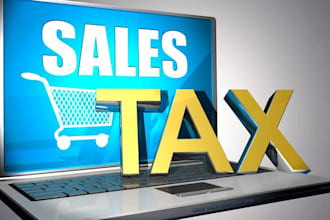 prepare sales tax returns and file returns in pakistan
