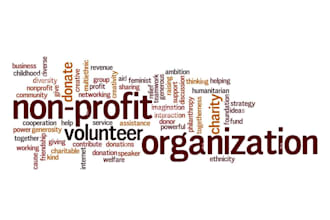 provide non profit consulting services