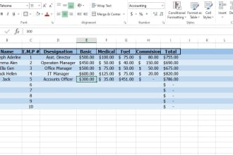 do bookkeeping, accounting, and profit and loss statements balance sheet