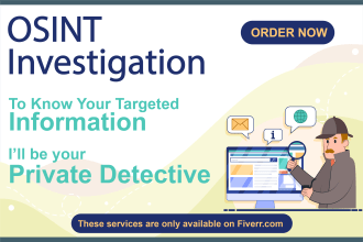 do background check, osint investigation and report