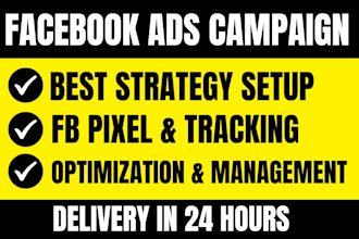 setup high converting meta facebook ads campaign in 24 hours