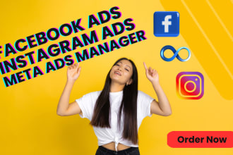 setup facebook ads run meta ads campaigns meta ads manager