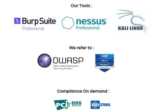 do automate vulnerability assessment and penetration testing