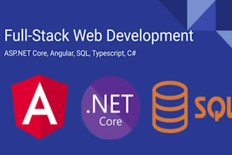 be your expert angular and dotnet developer