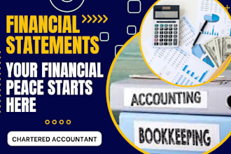 be a chartered accountant for financial statements
