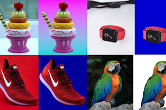 do professional image editing and photo manipulation